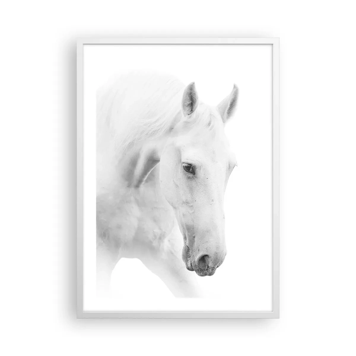 Poster în ramă albă - Este aceasta o prietenie...? - 50x70 cm