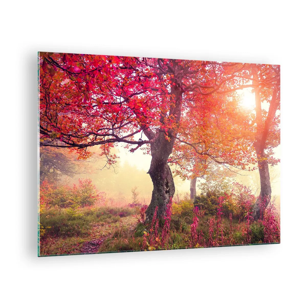 Tablou pe sticlă - Pădure de toamnă cu raze de soare dimineața - 70x50cm - O frenezie de înflorire - Decorațiune modernă pentru perete pentru living și dormitor ARTTOR