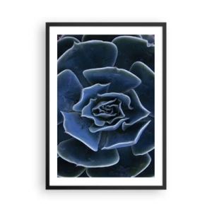 Poster în ramă neagră - Prim-plan artistic al unui model geometric suculent - 50x70cm - Floare de deșert - Decorațiune modernă pentru perete pentru living și dormitor ARTTOR