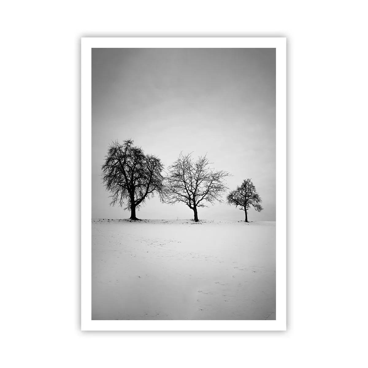 Poster - La ce visează? - 70x100 cm