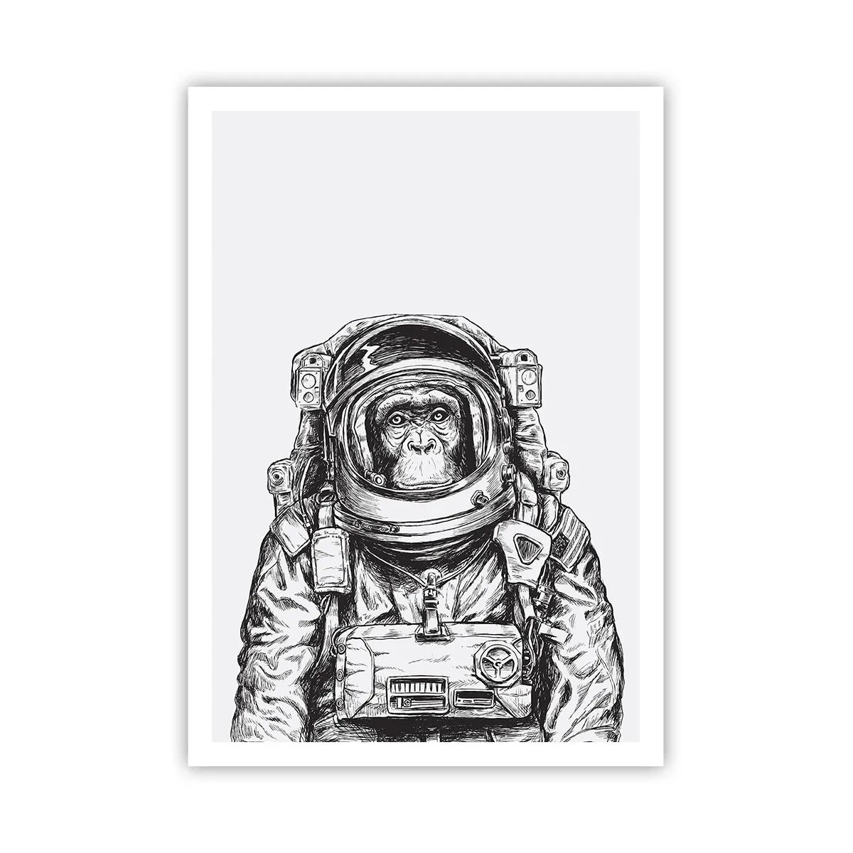 Poster - Evoluție alternativă - 70x100 cm