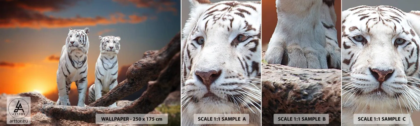 Mostră tapet autocolant Deluxe Sticker - La fel ca în Narnia - Animale, Tigru, Apus de soare - 100x30 cm