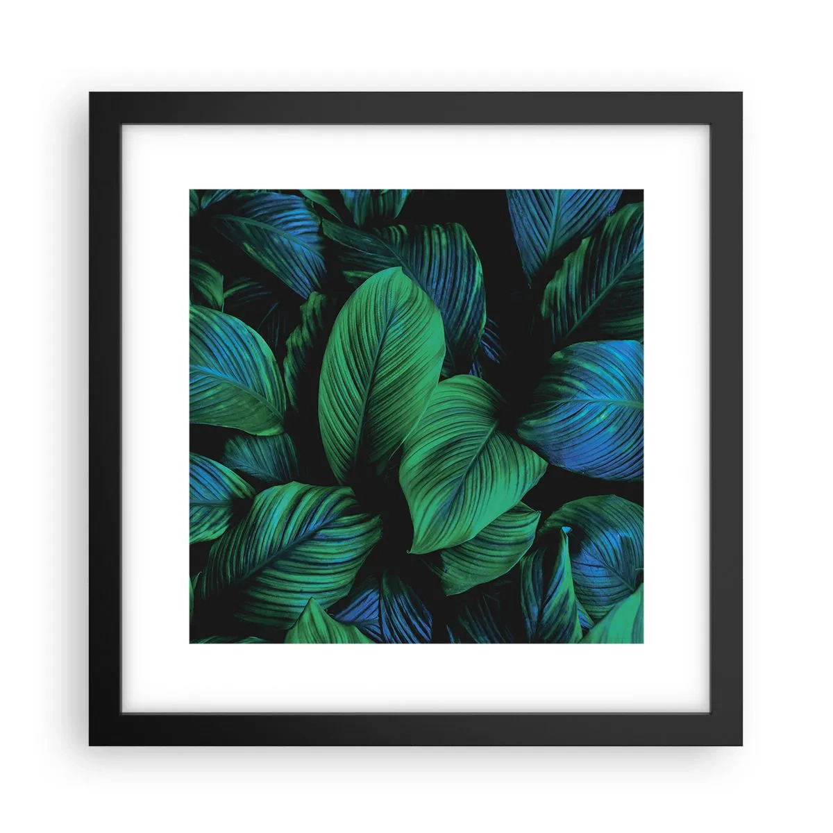 Poster în ramă neagră - Traficul verde - 30x30 cm