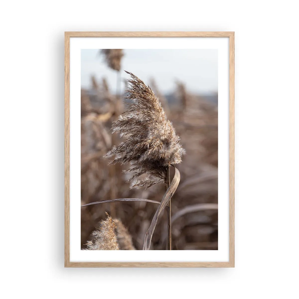 Poster în ramă de stejar deschis - E timpul să zbori cu vântul - 50x70 cm