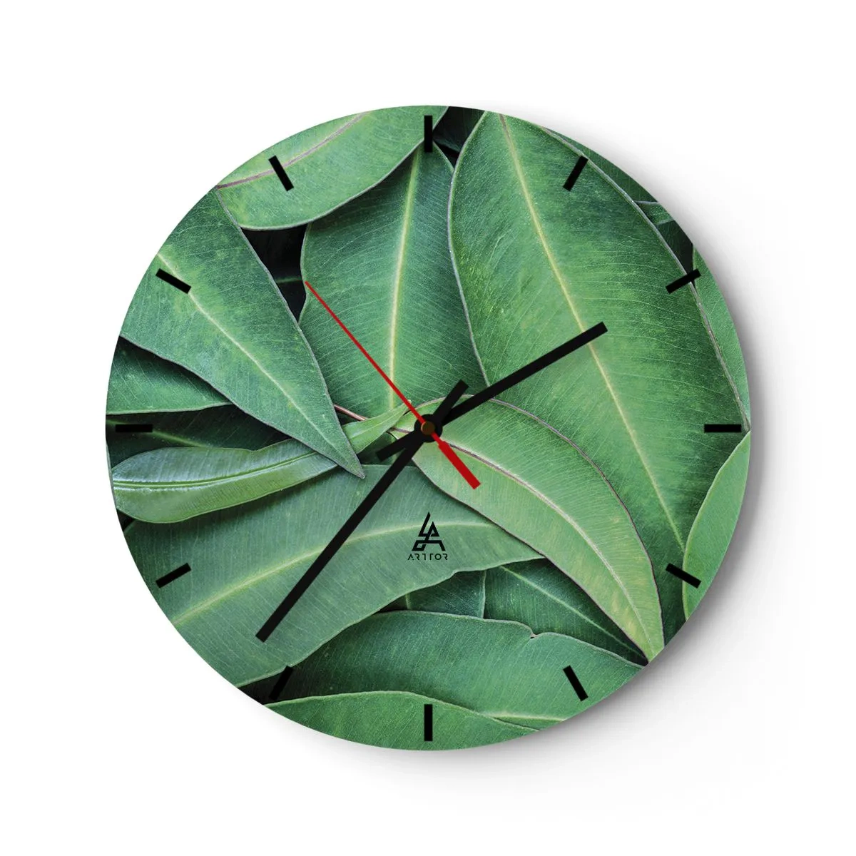 Ceas de perete - Ceas pe sticlă - Frunze verzi suculente într-o fotografie macro - 30x30cm - Suculente și proaspete - Decorațiune modernă pentru perete pentru living, bucătărie și dormitor ARTTOR