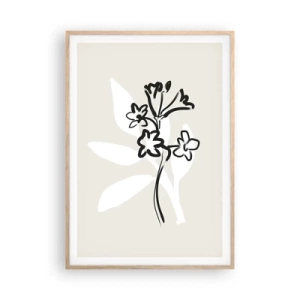Poster în ramă de stejar deschis - Schiță pentru ierbar - 70x100 cm