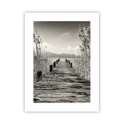 Poster - În intimitatea ierburilor - 30x40 cm