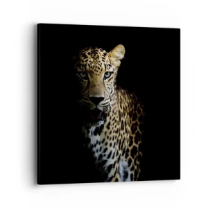 Tablou pe pânză - Frumusețe întunecată - 40x40 cm