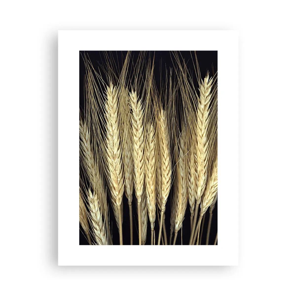 Poster - Magie rustică - 30x40 cm