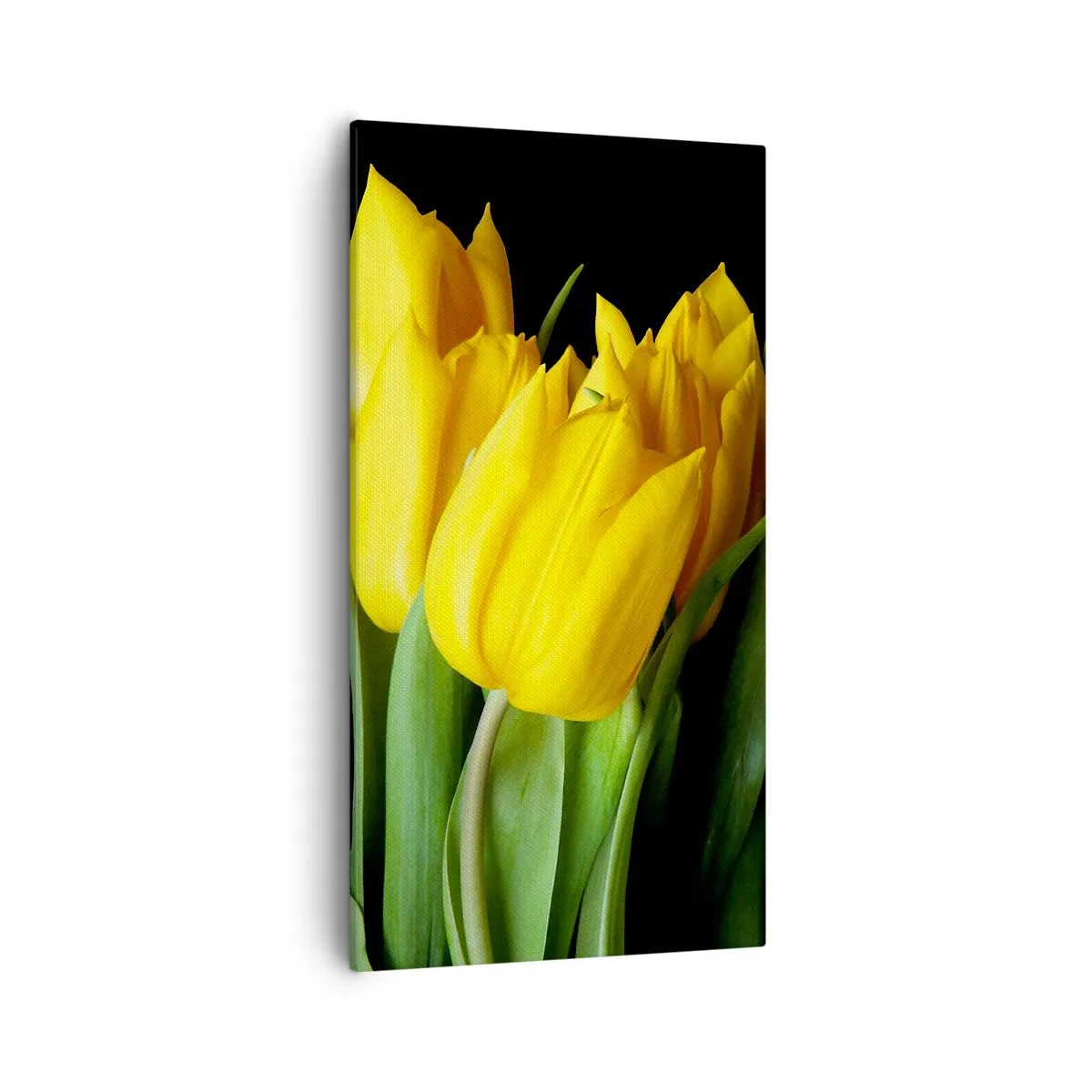 Tablou pe pânză - Răsărind din soarele pur - 55x100 cm