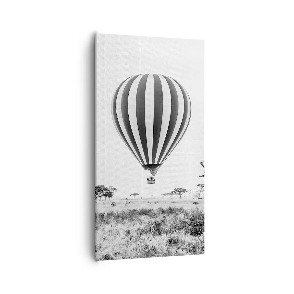 Tablou pe pânză - Peste savană - 65x120 cm