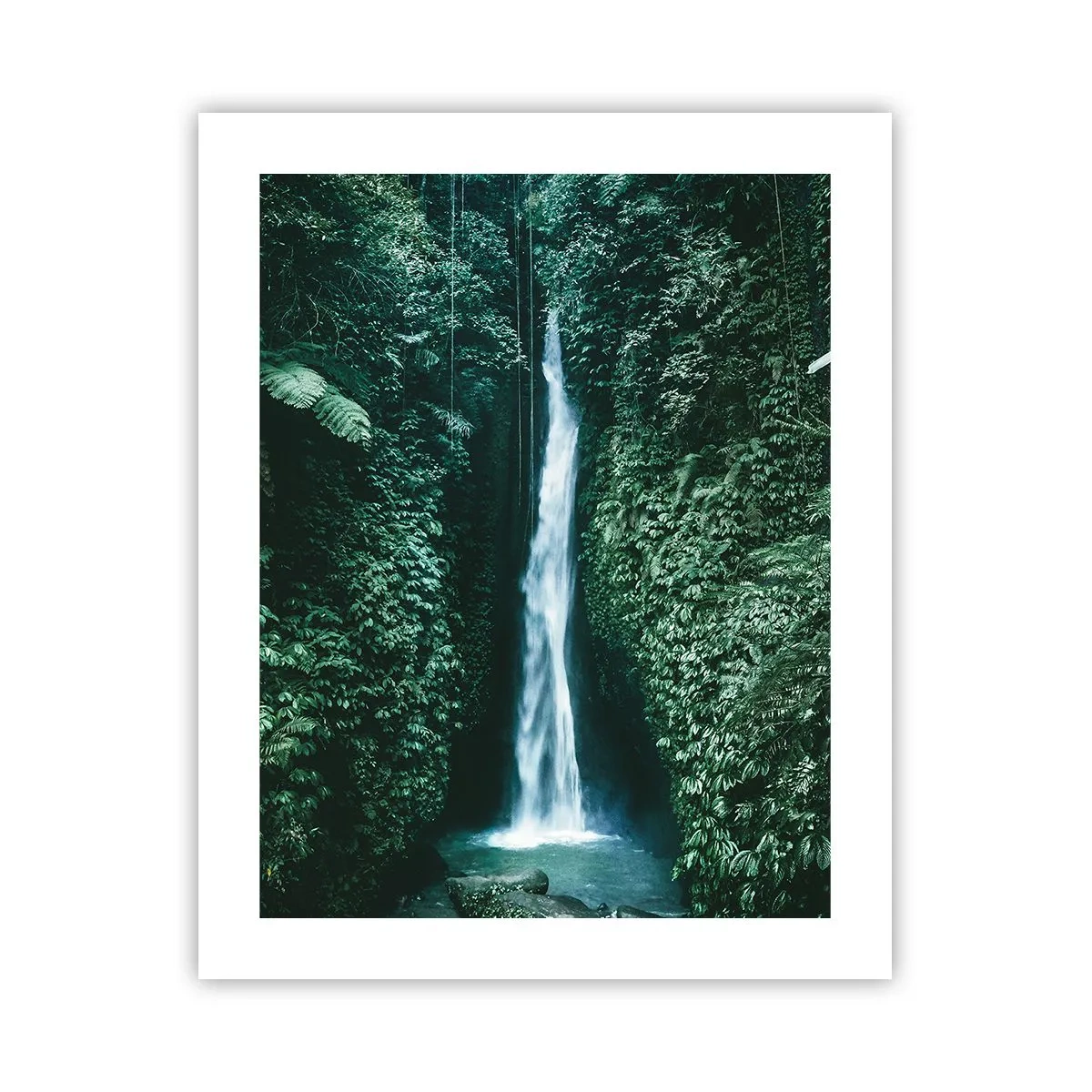 Poster - Băi tropicale - 40x50 cm