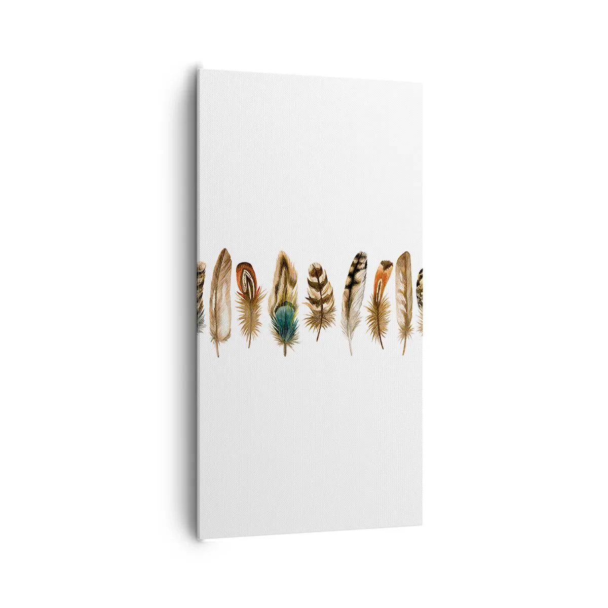 Tablou pe pânză - Variație cu pene - 65x120 cm