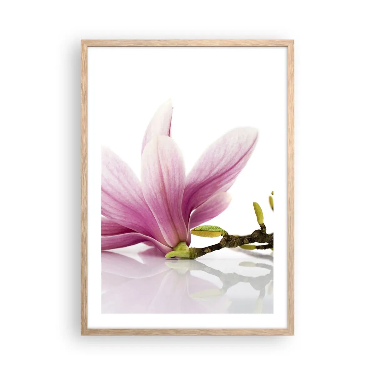Poster în ramă de stejar deschis - Delicate ca o adiere de primăvară - 50x70 cm