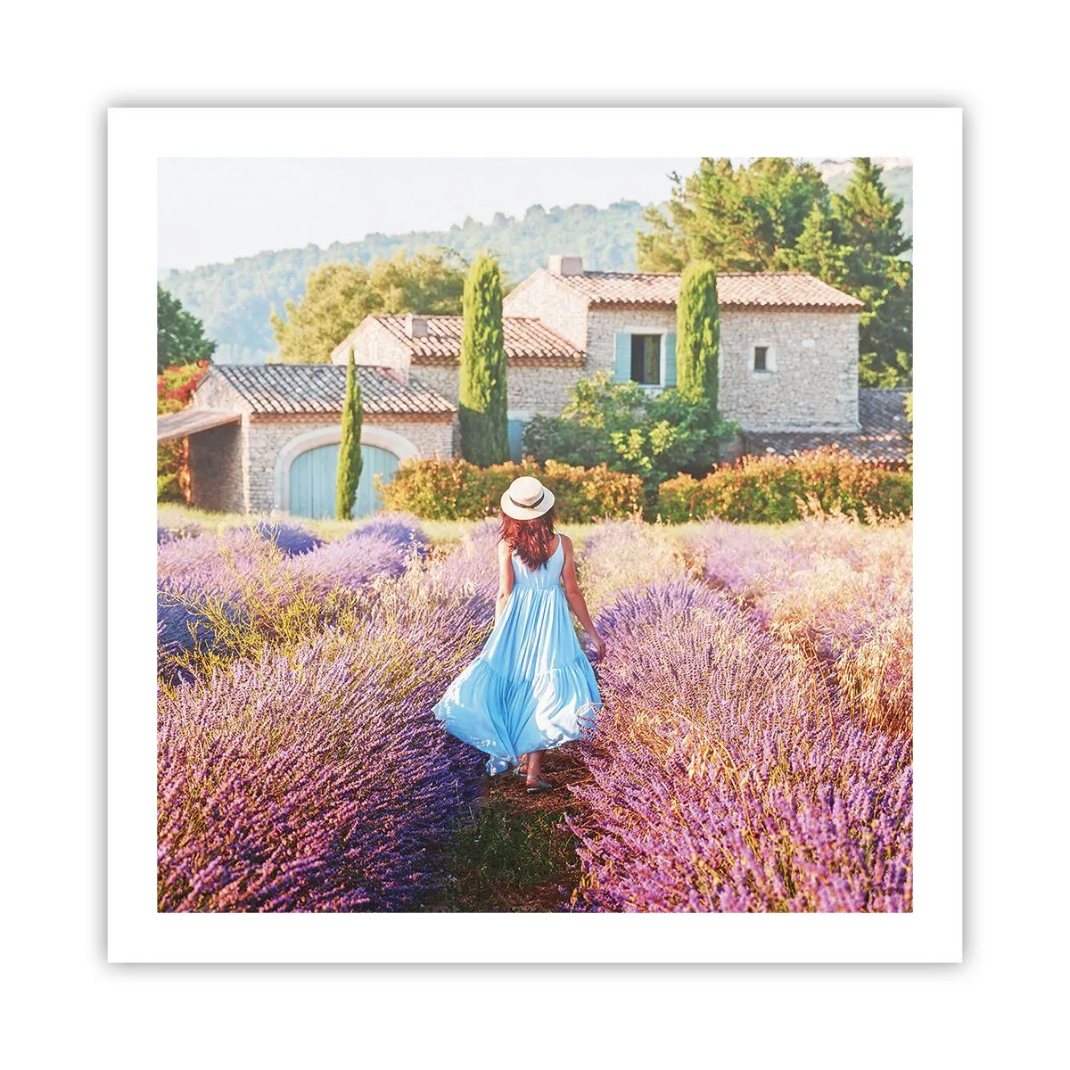 Poster - Fata de lavandă - 60x60 cm