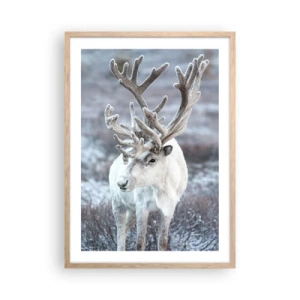 Poster în ramă de stejar deschis - Portret la soare - 50x70 cm