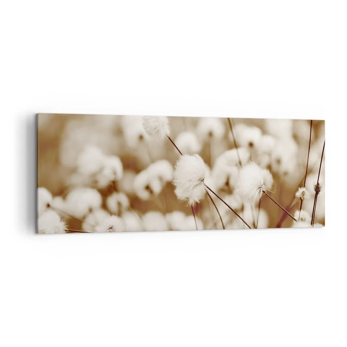 Tablou pe pânză - Câmp pufos - 140x50 cm