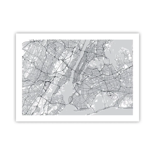 Poster - Anatomia unei metropole - 70x50 cm