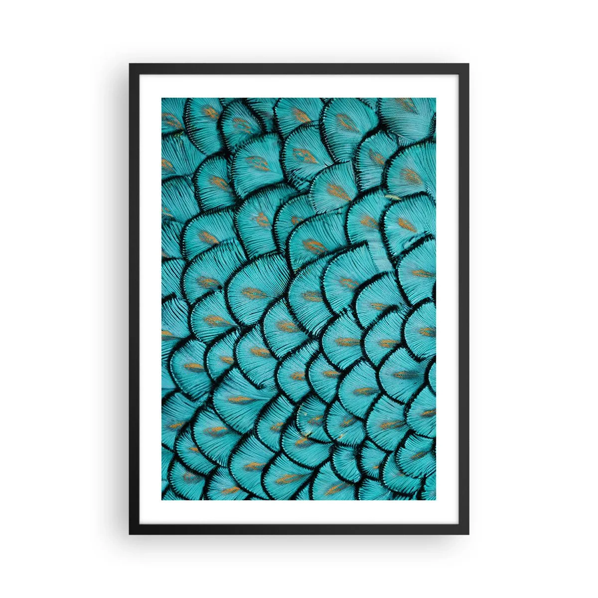 Poster în ramă neagră - Fotografie macro cu pene turcoaz cu un model unic - 50x70cm - Marea gală a penelor - Decorațiune modernă pentru perete pentru living și dormitor ARTTOR