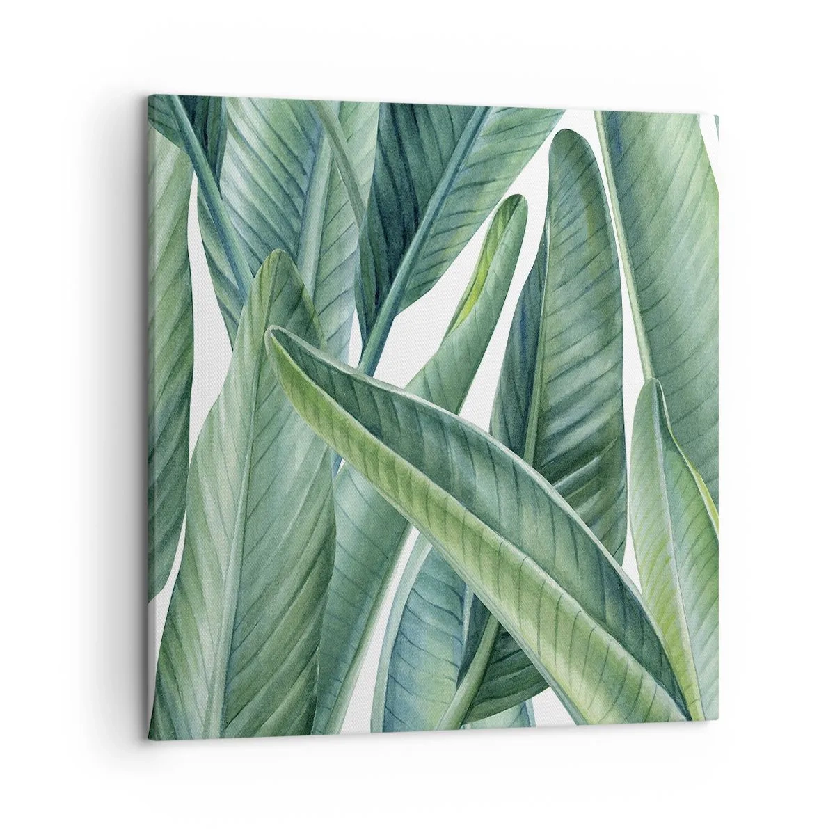 Tablou pe pânză - Verdeața în sine - 50x50 cm