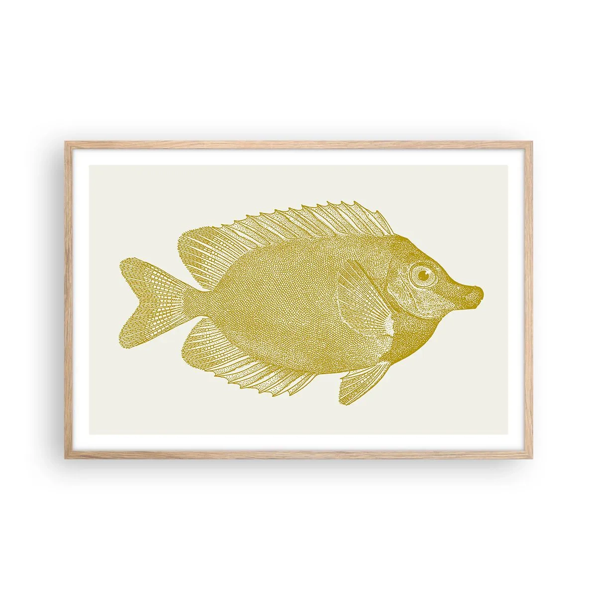 Poster în ramă de stejar deschis - Pește și atât - 91x61 cm