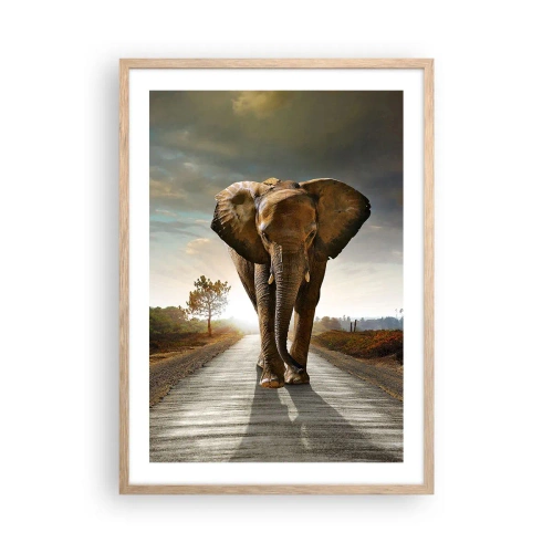 Poster în ramă de stejar deschis - Și-a pierdut cipicii... - 50x70 cm