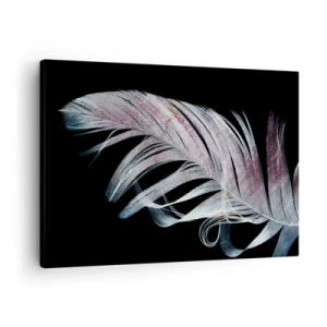 Tablou pe pânză Canvas - O pană delicată pe un fundal negru într-o abordare artistică - 70x50cm - Gândește-te la atingere - Decorațiune modernă pentru perete pentru living și dormitor ARTTOR