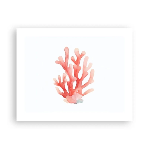 Poster - Culoare de coral - 50x40 cm