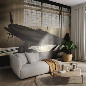 Tapet Premium Sand - Odihna războinicului - Avioane, Hangar de aviație, Avion - 300x210 cm