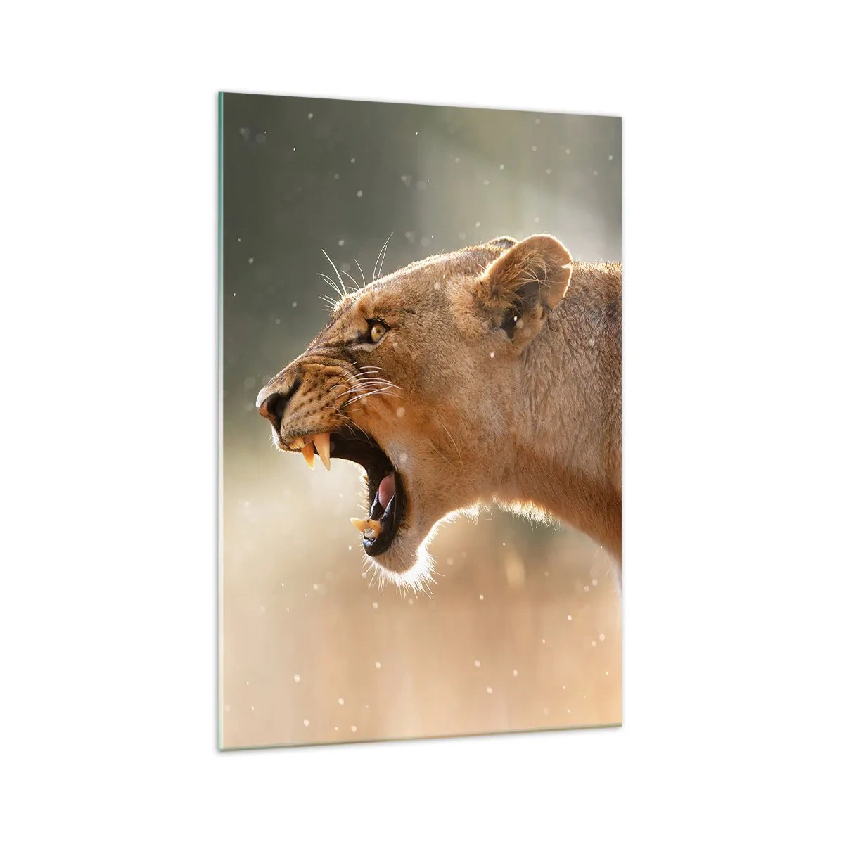 Tablou pe sticlă - Încearcă să nu asculți - 70x100 cm