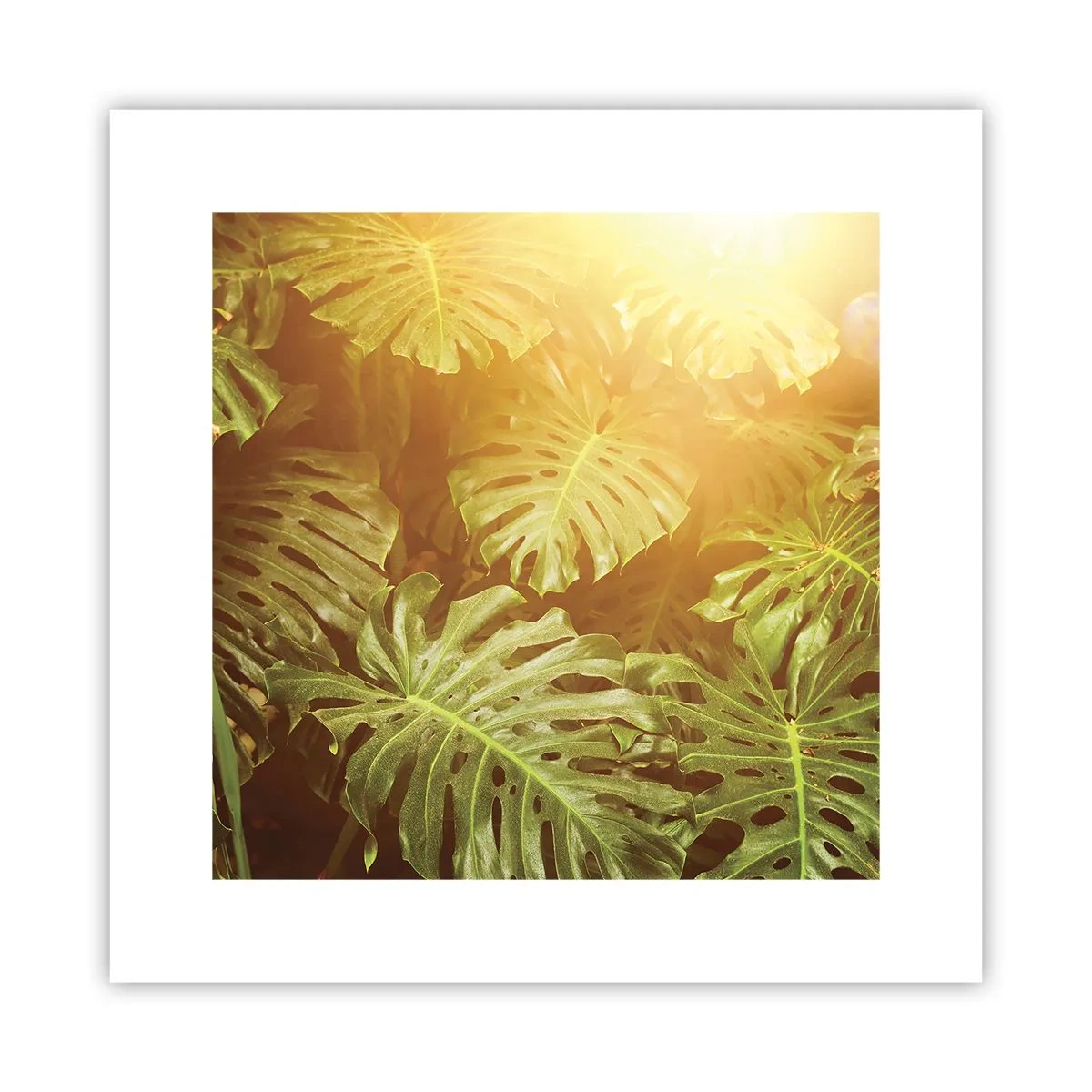 Poster - Poftiți în verde - 30x30 cm