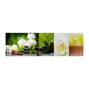 Mostră tapet Premium Sand - Fragrant, floral, atingere delicată - Flori, Orhidee, Orhidee - 100x30 cm