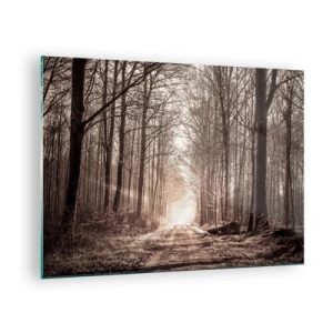 Tablou pe sticlă - Drum forestier în ceața dimineții - 70x50cm - Catedrala Forestieră - Decorațiune modernă pentru perete pentru living și dormitor ARTTOR