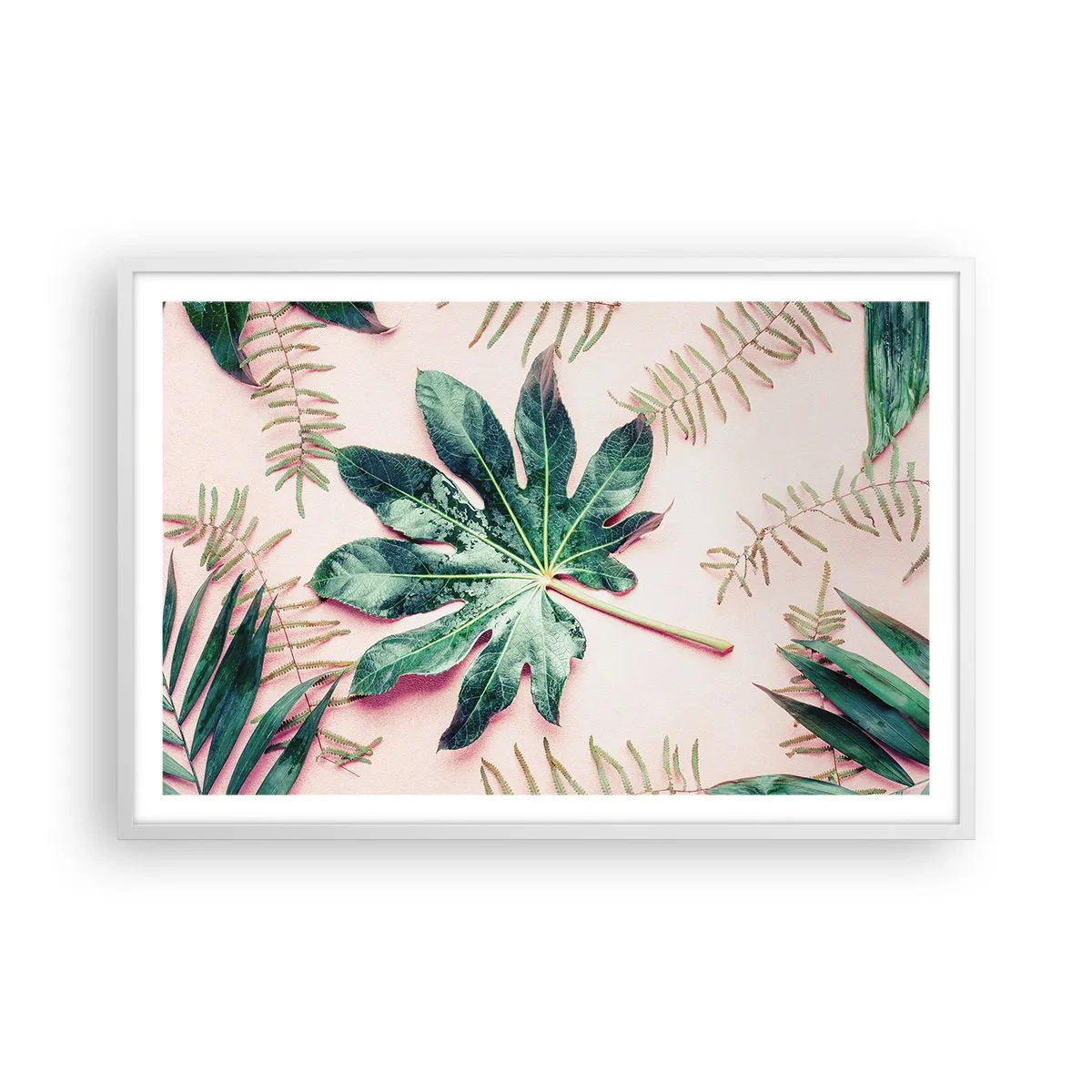 Poster în ramă albă - Studiu de verdeață pe un fundal roz - 91x61 cm