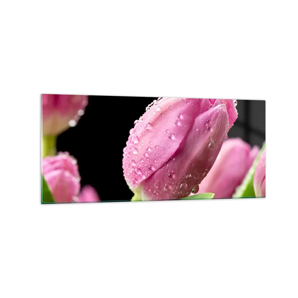 Tablou pe sticlă - Un vis de liliac în rouă - 120x50 cm
