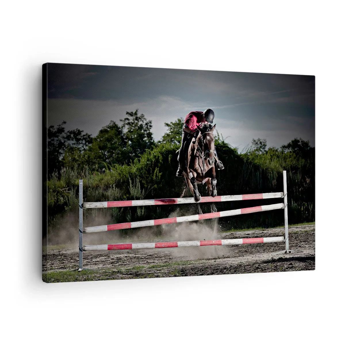 Tablou pe pânză Canvas - Un călăreț pe un cal sărind peste un obstacol pe o pistă de curse - 70x50cm - Împreună pentru victorie - Decorațiune modernă pentru perete pentru living și dormitor ARTTOR