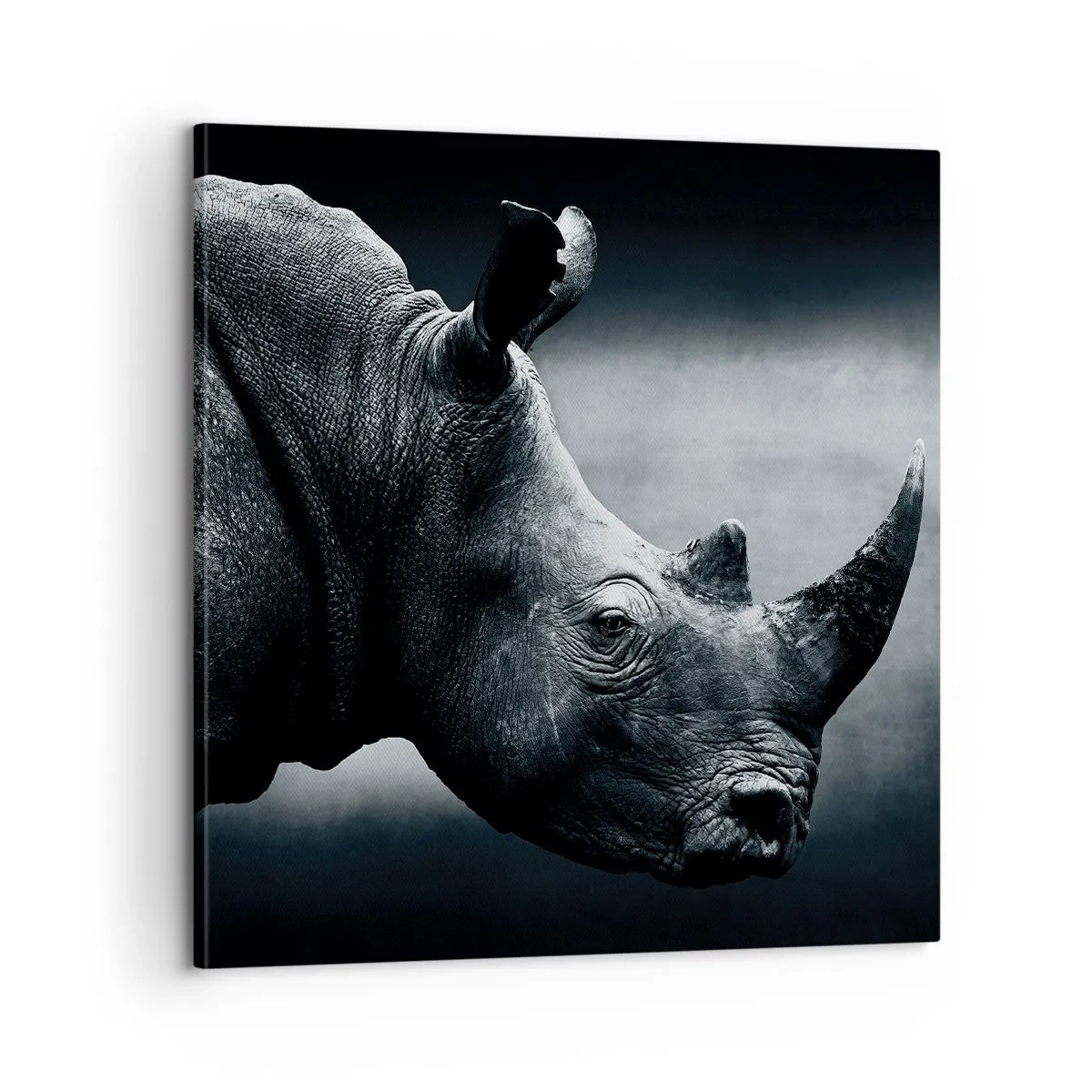 Tablou pe pânză - Profil drept - 60x60 cm