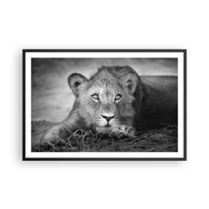 Poster în ramă neagră - Pisicuța regală - 91x61 cm