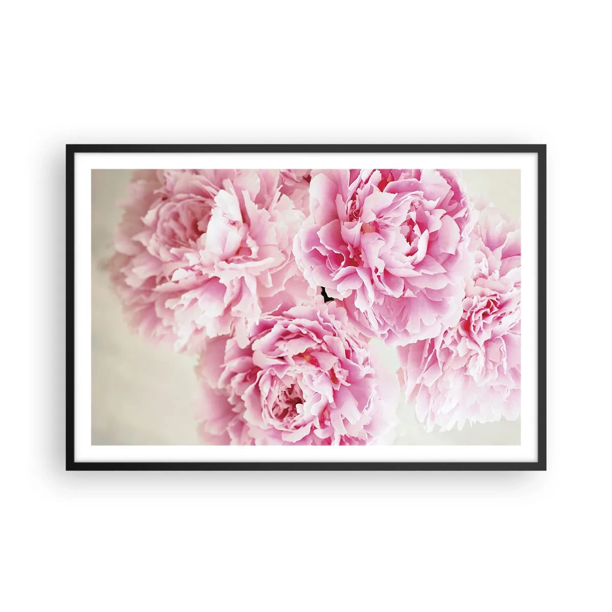 Poster în ramă neagră - În luxul roz - 91x61 cm
