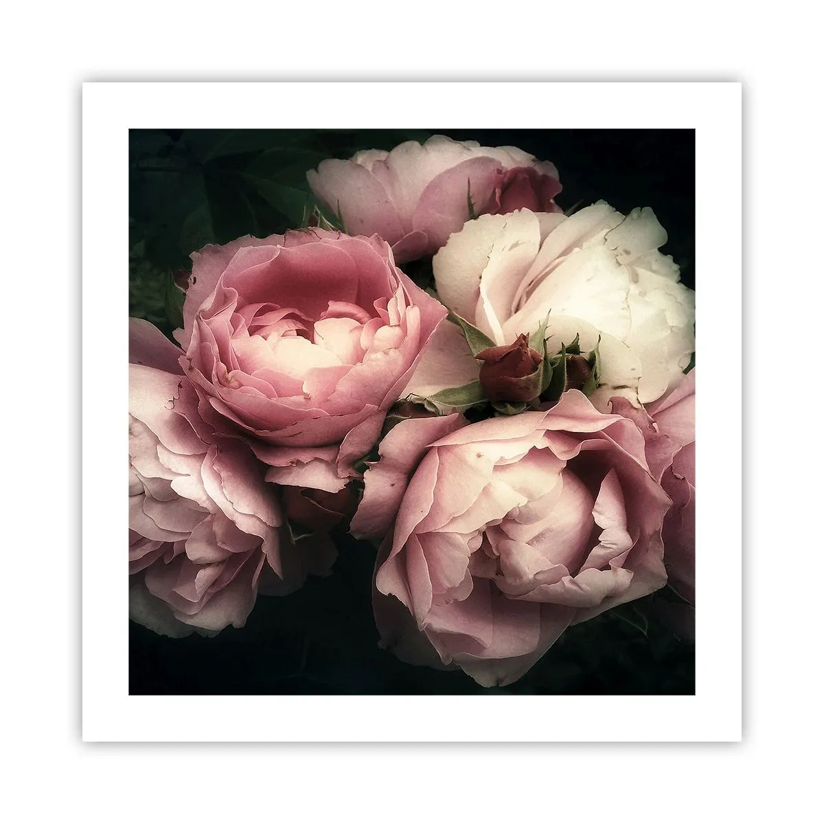 Poster - Farmecul belle epoque - 50x50 cm