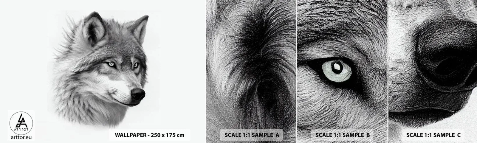 Mostră de Tapet Standard Eco - Alfa - fără îndoială - Lup, Animal, scandinav - 100x30 cm