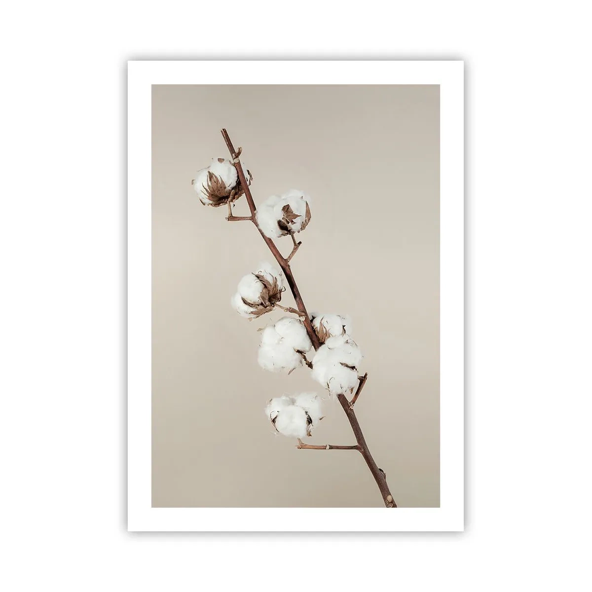 Poster - La sursa moliciunii - 50x70 cm