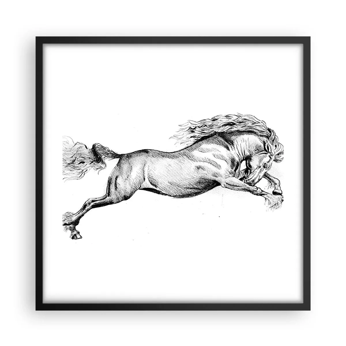 Poster în ramă neagră - Oprit din galop - 50x50 cm