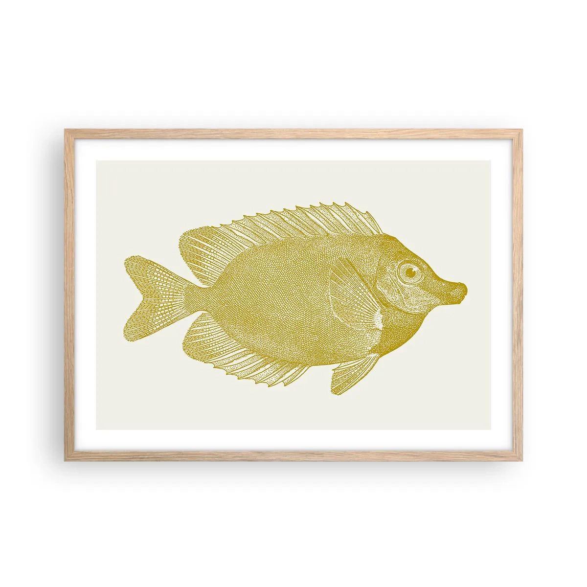 Poster în ramă de stejar deschis - Pește și atât - 70x50 cm