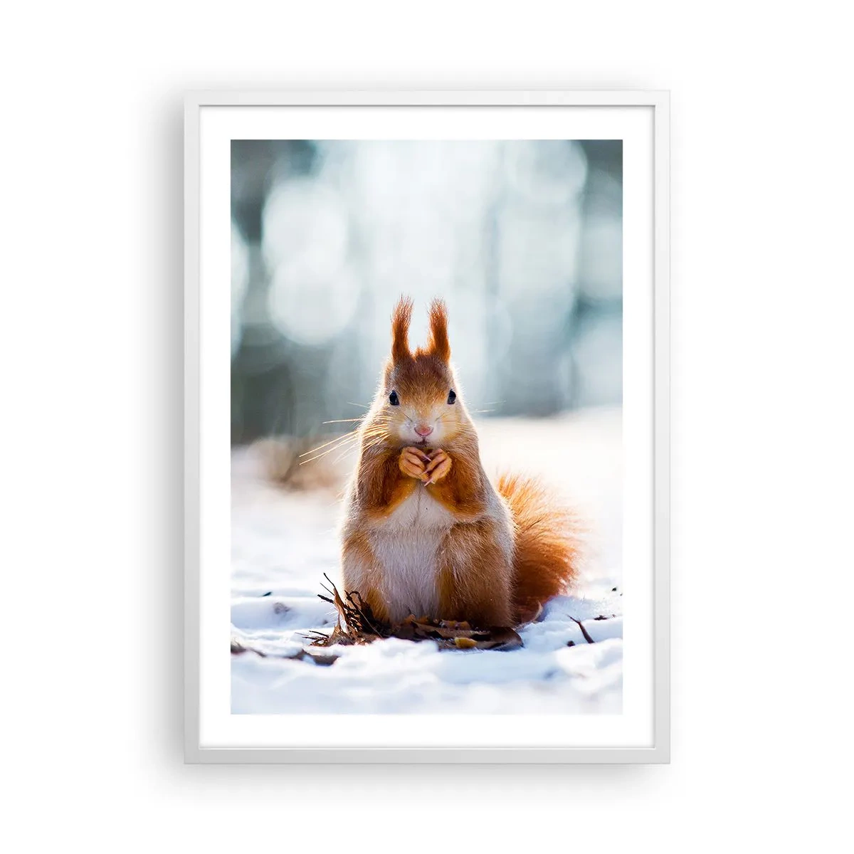 Poster în ramă albă - Și la ce te uiți? - 50x70 cm