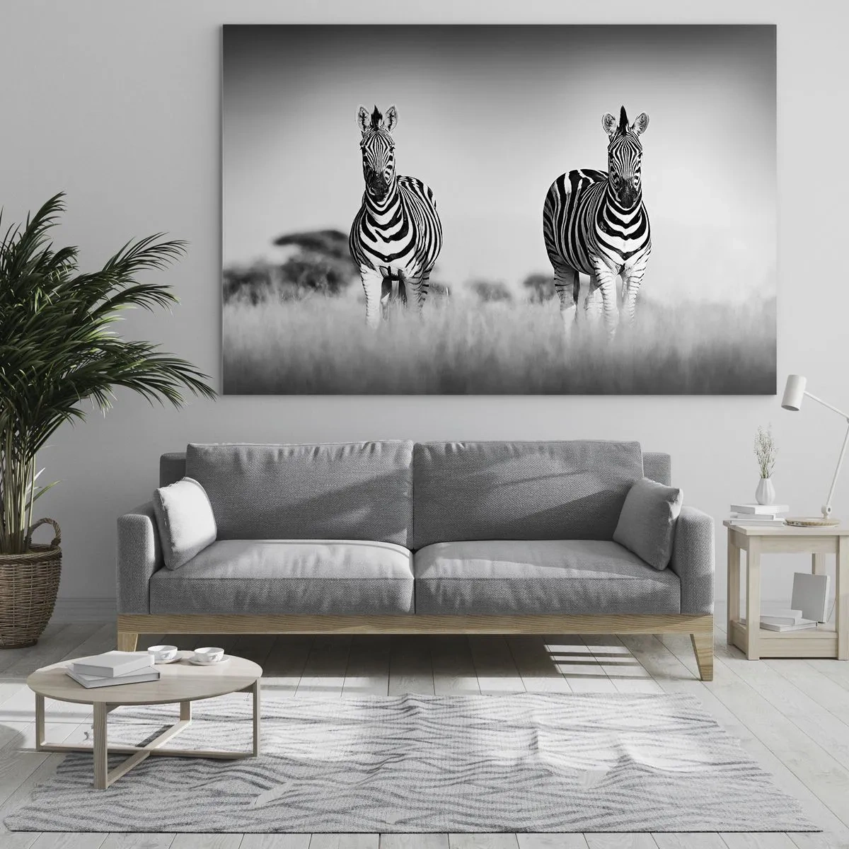 Tablou pe sticlă - O pereche de zebre pe un fundal de iarbă alb-negru, reprezentate în habitatul lor natural. - 70x50cm - Și totuși lumea e albă și neagră - Decorațiune modernă pentru perete pentru living și dormitor ARTTOR