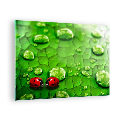 Tablou pe sticlă - Două buburuze pe o frunză verde cu picături de apă - 70x50cm - Întâlnire în verde - Decorațiune modernă pentru perete pentru living și dormitor ARTTOR