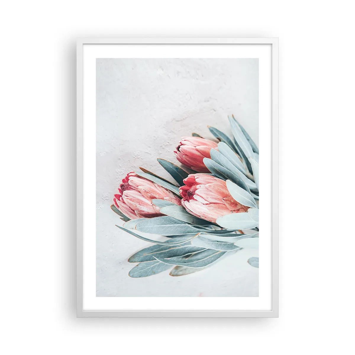 Poster în ramă albă - Rușinate de propria lor frumusețe - 50x70 cm