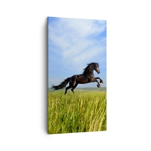 Tablou pe pânză - Un manifest entuziast pentru libertate - 45x80 cm