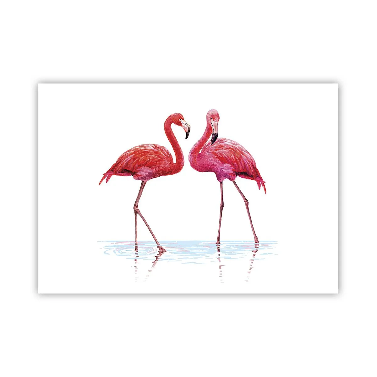 Poster - Pink randez-vous - 100x70 cm